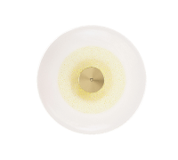 Настенный светильник Golden Disc