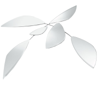 Зеркало Leaf