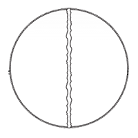 Зеркало Niagara