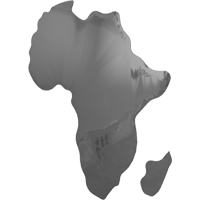 Зеркало Africa 